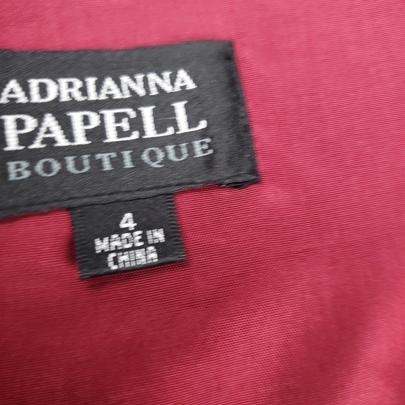 Adrianna Papell Red Wine Black Sheer Embroidered Full Pleated Skirt Sz 4 - Picture 8 of 10